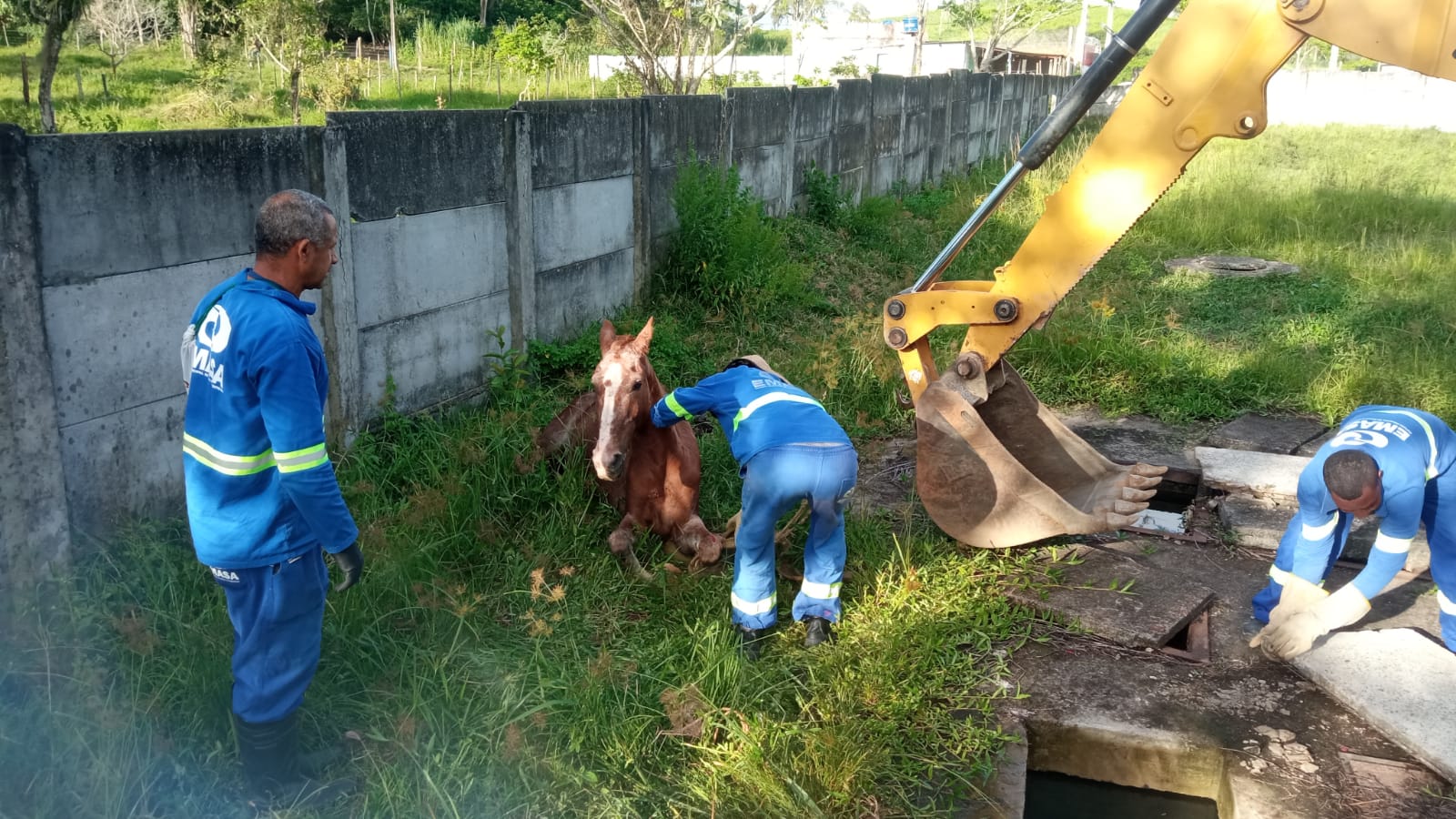 Cavalo é retirado do poço da estação de esgoto do condomínio residencial Jubiabá