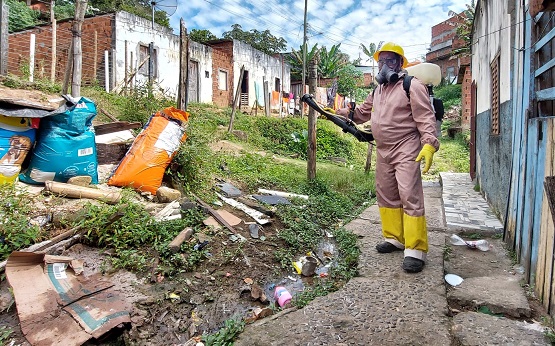 Casos de dengue continuam estabilizados segundo Prefeitura de Itabuna