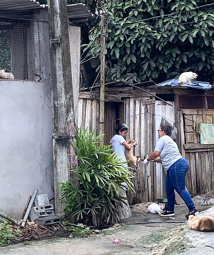 Prefeitura supera a meta e imuniza mais de 30 mil cães e gatos em Itabuna