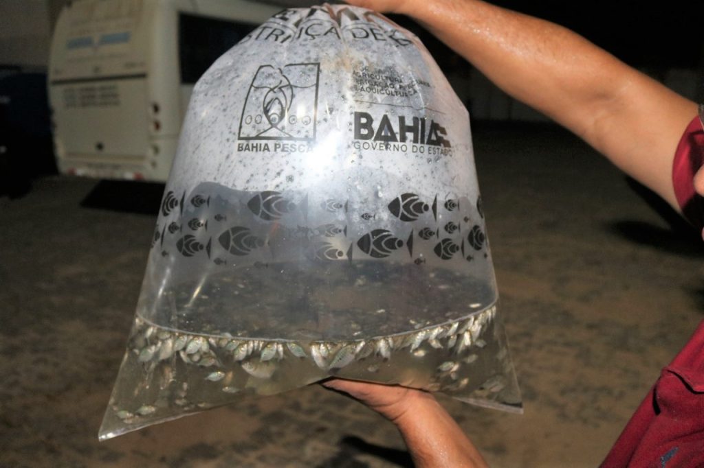 Prefeitura de Itabuna firma mais uma parceria com a Bahia Pesca