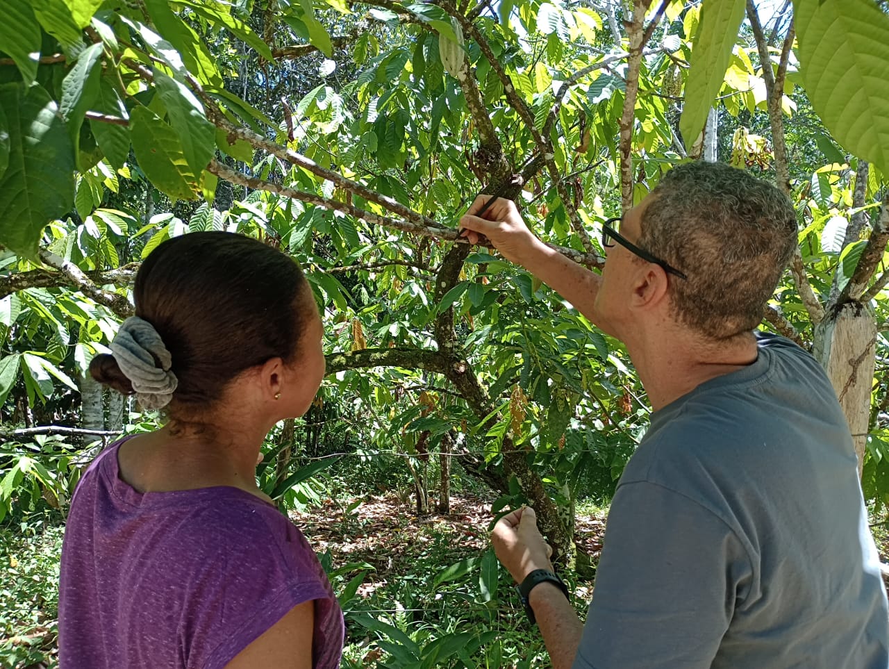 Prefeitura de Itabuna capacita agricultores familiares na técnica da polinização