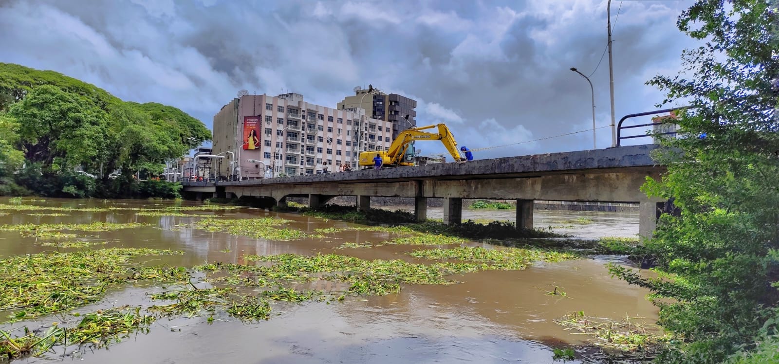 Prefeitura de Itabuna conclui a remoção de baronesas e da vegetação encalhada na Ponte Miguel Camon