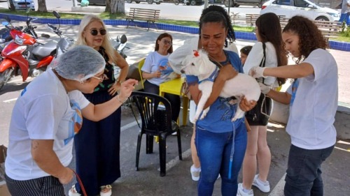 Prefeitura de Itabuna lança Campanha de Vacinação Antirrábica 2026 com meta de vacinar 52 mil animais