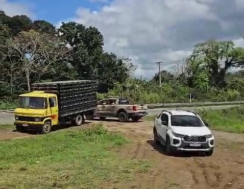 Prefeitura de Itabuna vistoria e notifica fazendas ao longo da BA-649 para evitar animais soltos na pista