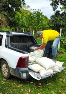 Itabuna inicia a entrega de cinco mil mudas de cacau clonal e 20 mil mudas de mandioca e aipim em nova etapa do “Parceria Mais Forte”